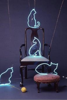 Neon Cats