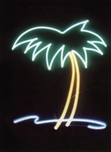 Palm Tree Surf